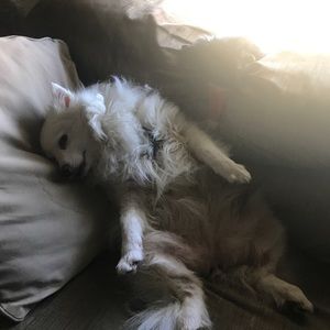 Meet your Posher, Austin